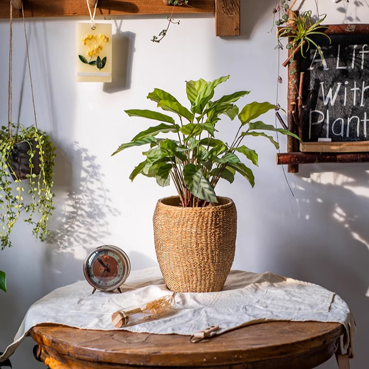 Faux Grass-Woven Cement Planter