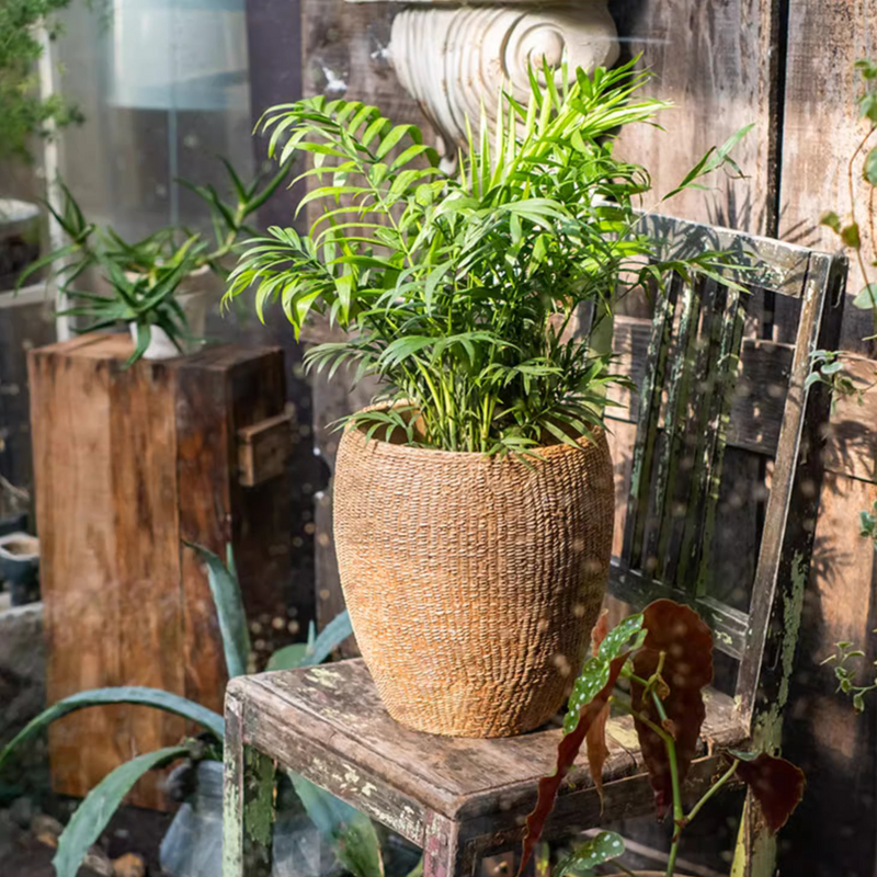 Faux Grass-Woven Cement Planter