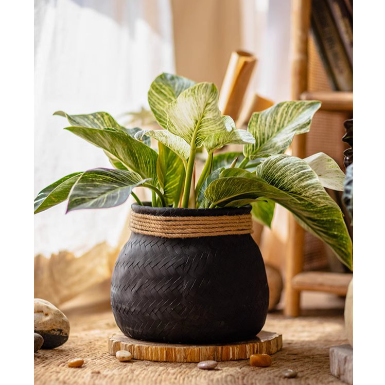 Faux Bamboo Woven Cement Planter