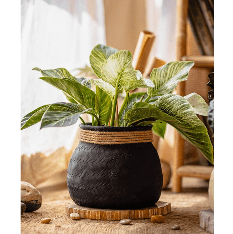 Faux Bamboo Woven Cement Planter, photo 10 of 13