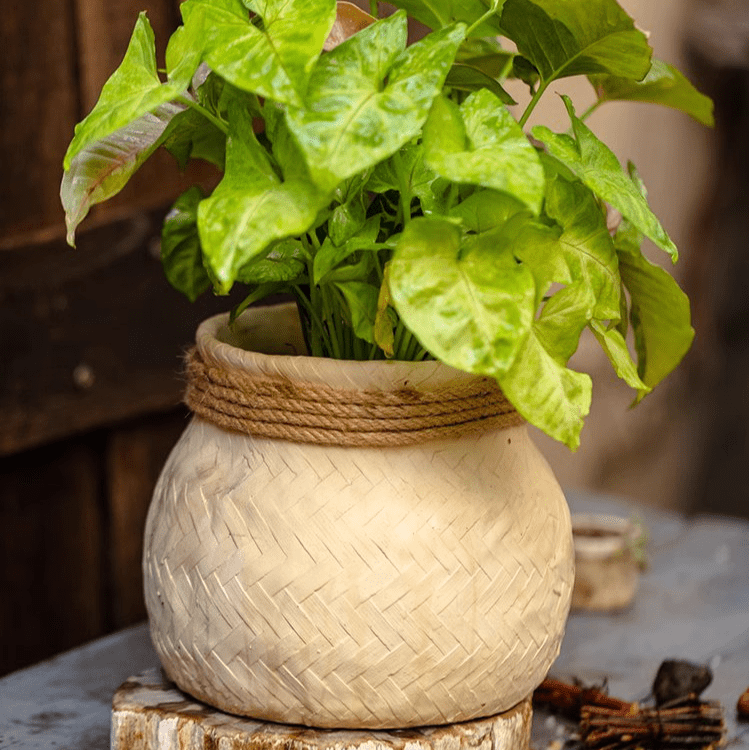 Faux Bamboo Woven Cement Planter, photo 11 of 13
