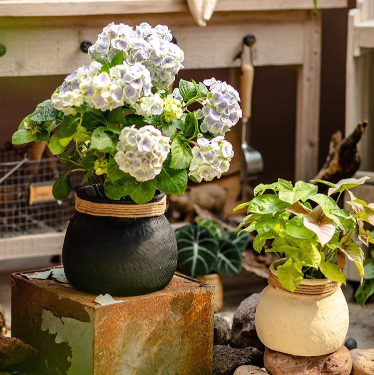 Faux Bamboo Woven Cement Planter