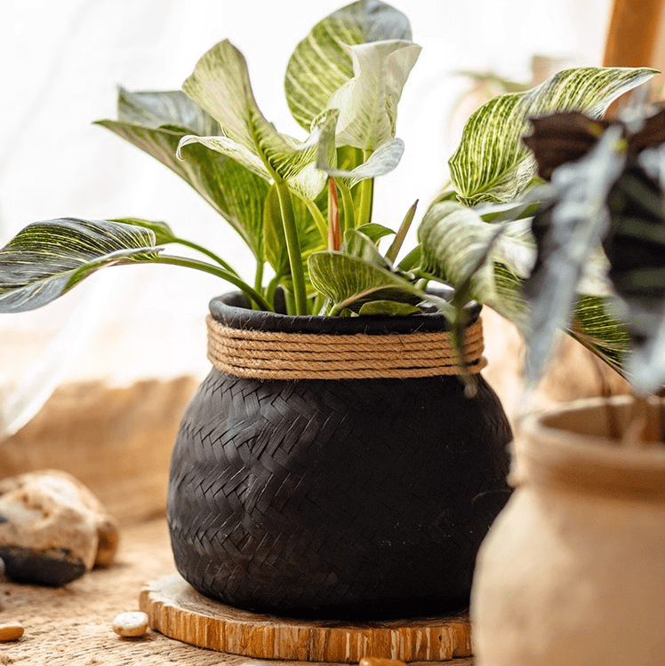 Faux Bamboo Woven Cement Planter, photo 5 of 13