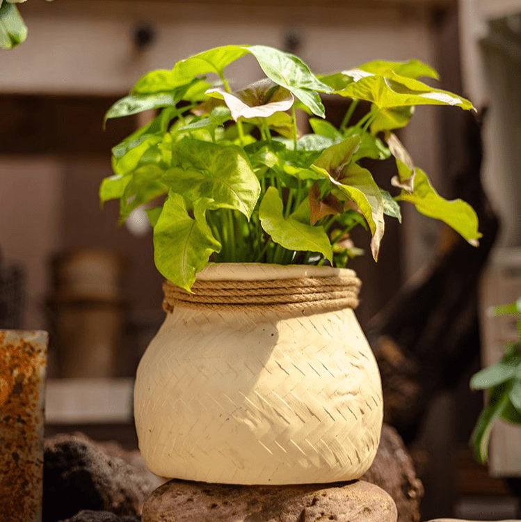 Faux Bamboo Woven Cement Planter, photo 6 of 13