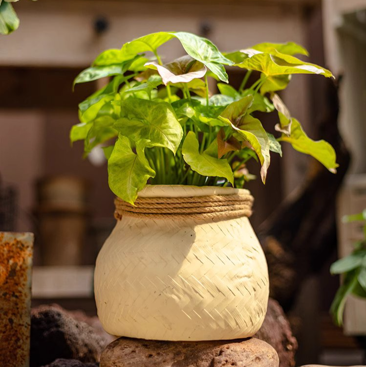 Faux Bamboo Woven Cement Planter