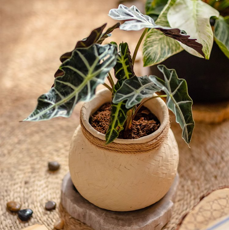 Faux Bamboo Woven Cement Planter