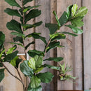 Artificial Tree Fiddle Leaf Tree In Pot
