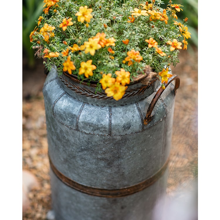 Restoration Flower Pot Gray Brown Round Metal