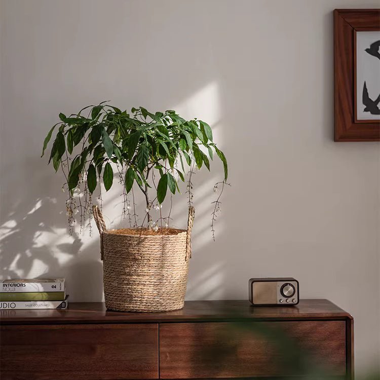 French Country Woven Planter Basket, photo 10 of 11