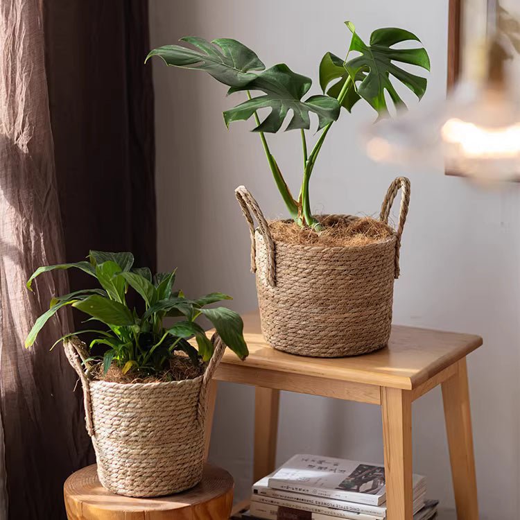 French Country Woven Planter Basket, photo 2 of 11