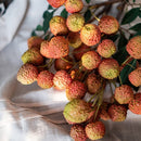 Artificial Fruit Lychee Stem 27" Tall Silk Plant