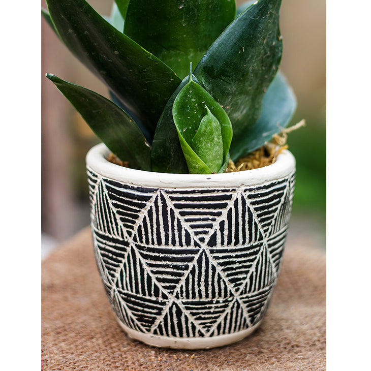 Geometric Art Concrete Flower Pot