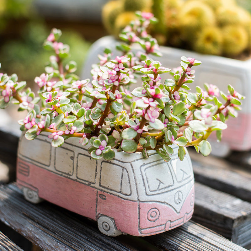 Girls Desktop Bus Planter