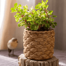 Grass Woven Looking Cement Planter
