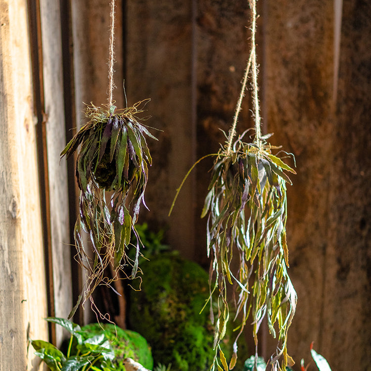 Artificial Faux Hanging Aloe Vera Plant in Pot