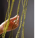 Artificial Vine Hanging Thin Succulent Stem