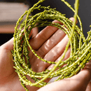 Artificial Vine Hanging Thin Succulent Stem