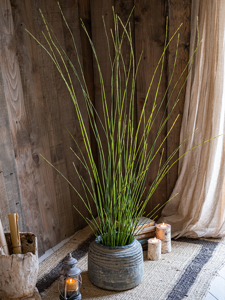 Artificial Faux Rough Horsetail Plant Long Stem 54" Tall