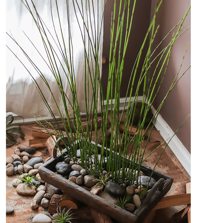 Artificial Faux Rough Horsetail Plant Long Stem 54" Tall