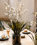 White Hui Lan Orchid in Glass Pot by RusticReach