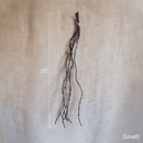 Ikebana Twig Branch