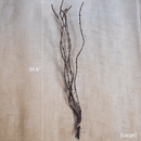 Ikebana Twig Branch