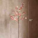 Impressionist Oncidium Orchid Stem in Pink 31" Tall