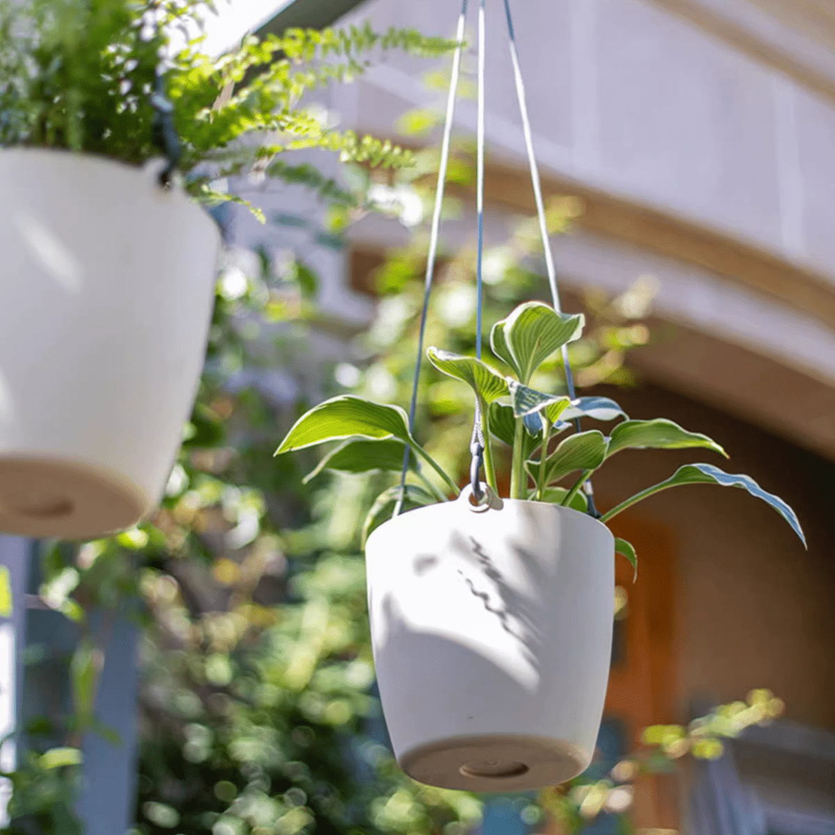 Modern Resin Hanging Planter for Artificial Plants, photo 10 of 11