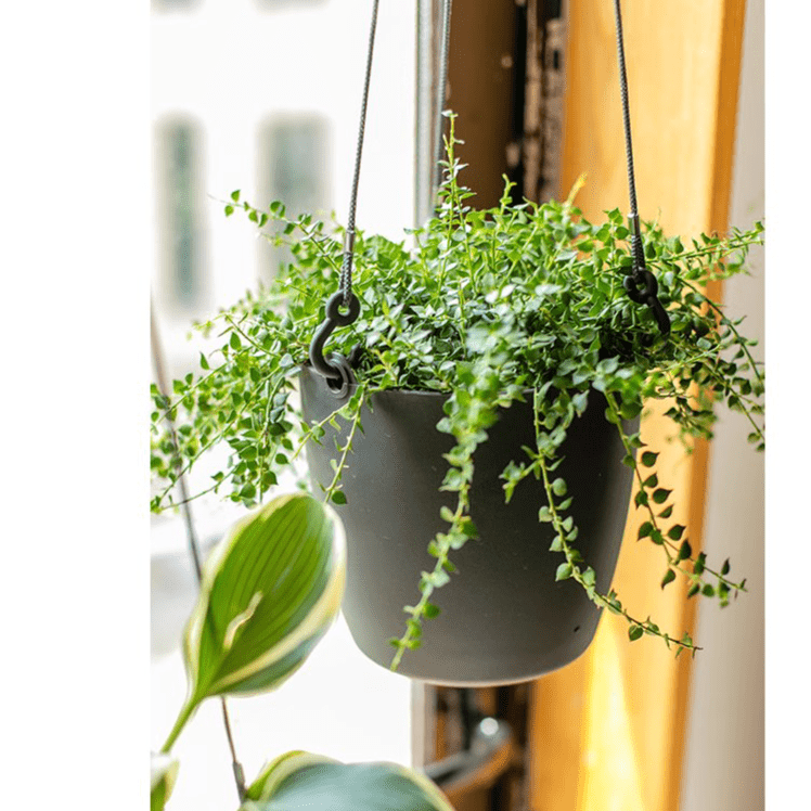 Modern Resin Hanging Planter for Artificial Plants, photo 2 of 11