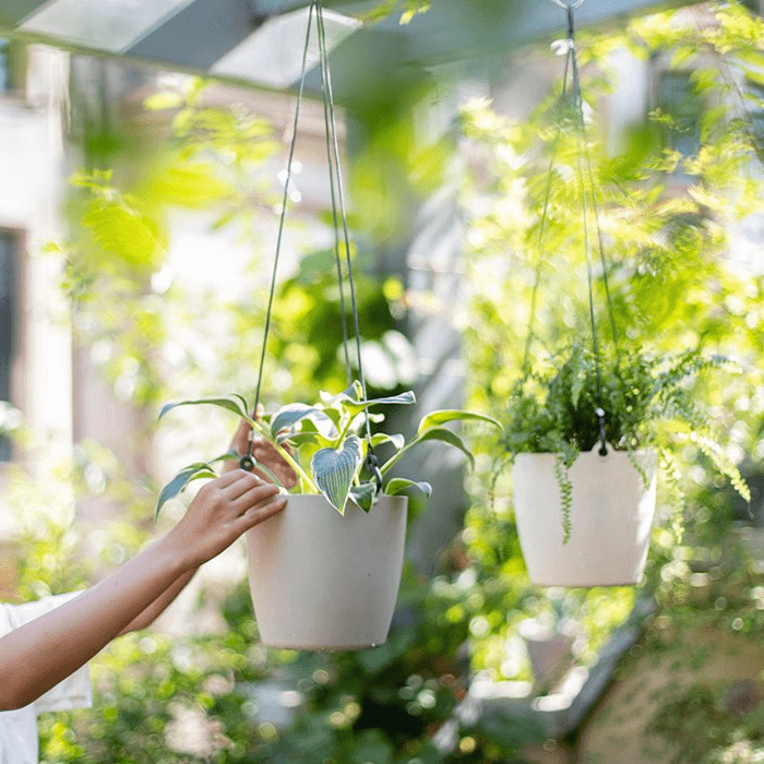 Modern Resin Hanging Planter for Artificial Plants, photo 6 of 11