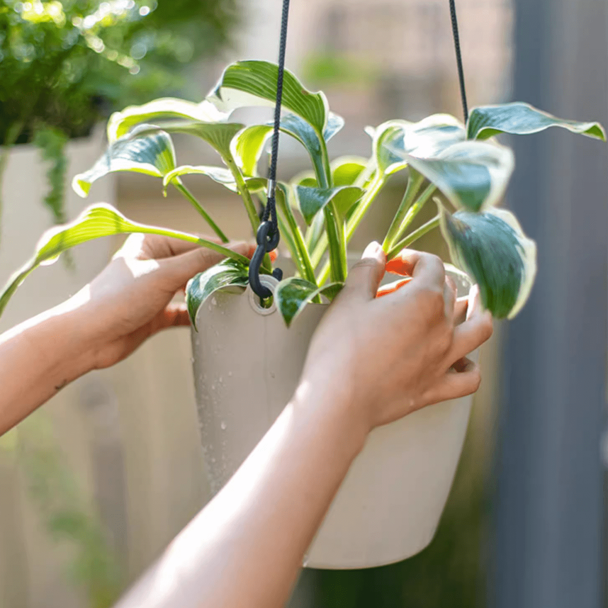 Modern Resin Hanging Planter for Artificial Plants, photo 7 of 11