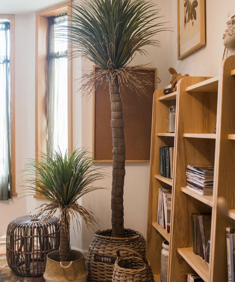 Moroccan Artificial Palm Tree In Pot