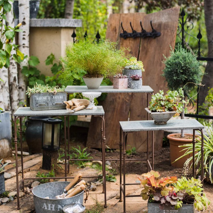 Backyard Metal Plant Stands