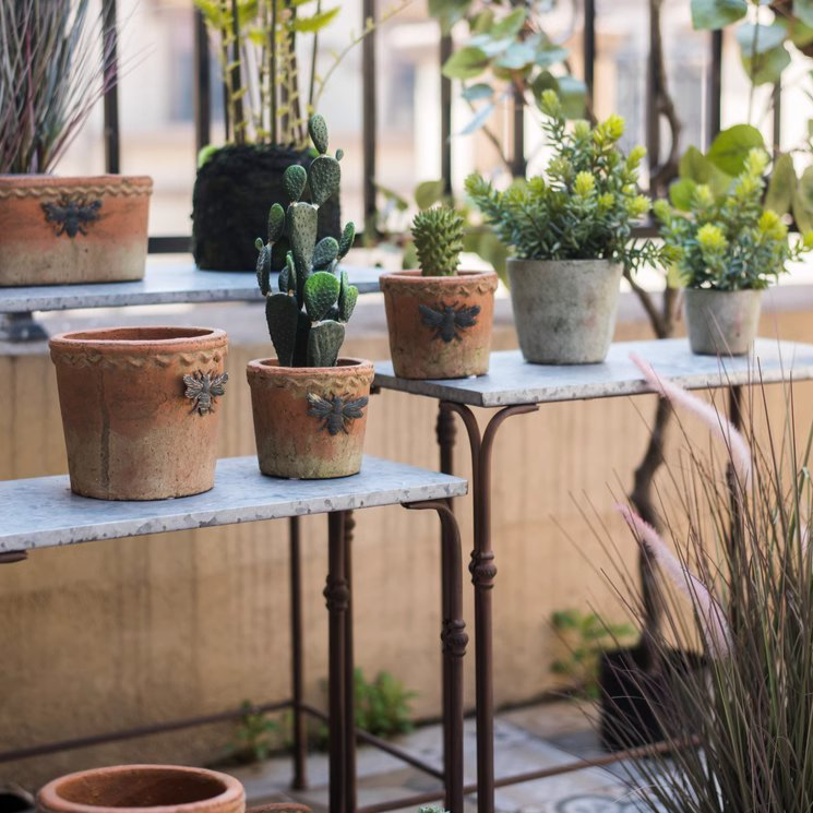 Backyard Metal Plant Stands