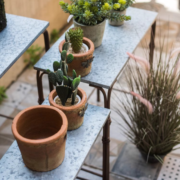 Backyard Metal Plant Stands