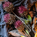 Artificial Tall Stem Flower Mulan Thistle 43" Tall