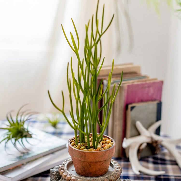 Artificial Potted Plant Pencil Cactus 13.5"