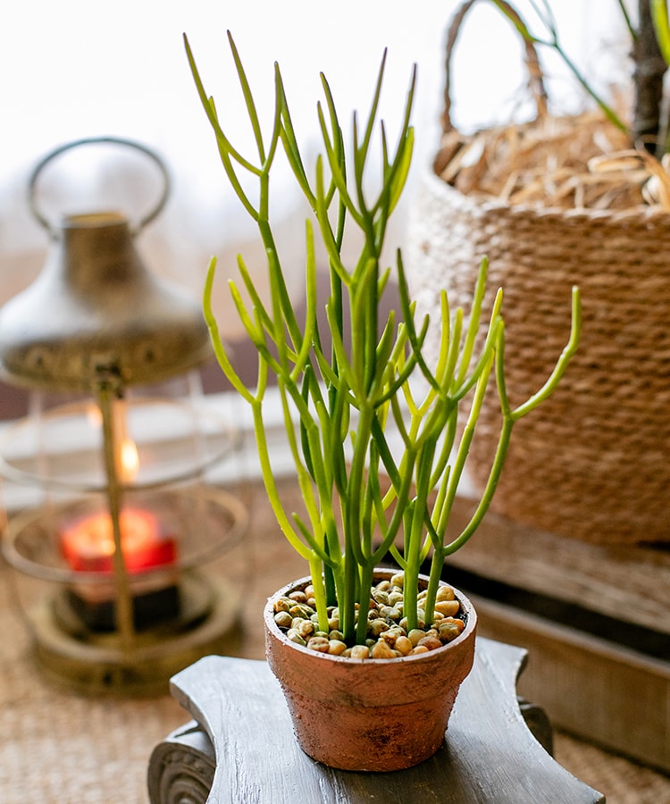 Artificial Potted Plant Pencil Cactus 13.5"