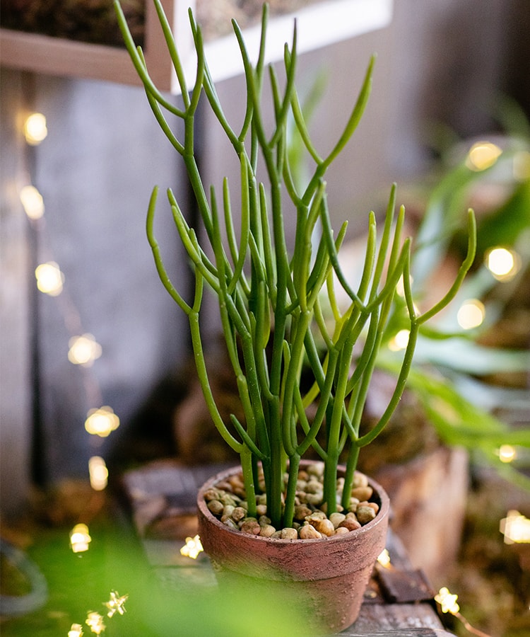 Artificial Potted Plant Pencil Cactus 13.5"