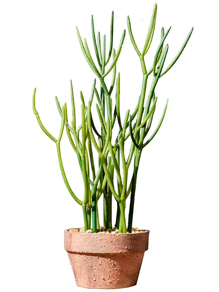 Artificial Potted Plant Pencil Cactus 13.5"