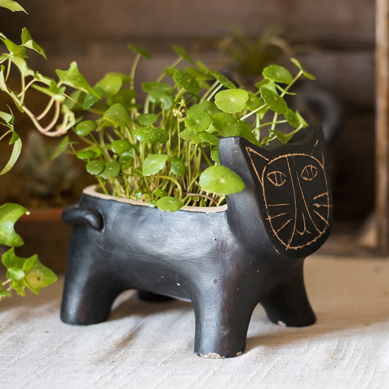 Cat Shape Small Planter in Concrete