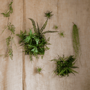 Artificial Faux Plant Metal Frame Wall Décor