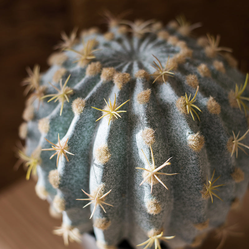 Artificial Faux Cactus Ball In Pot