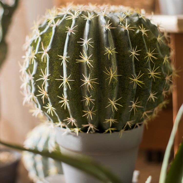 Artificial Faux Cactus Ball In Pot