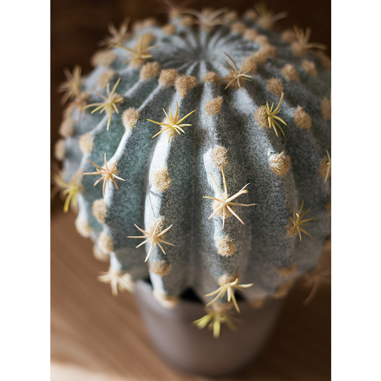 Artificial Faux Cactus Ball In Pot