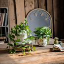 Artificial Devil's Ivy Plant in White Pot by RusticReach