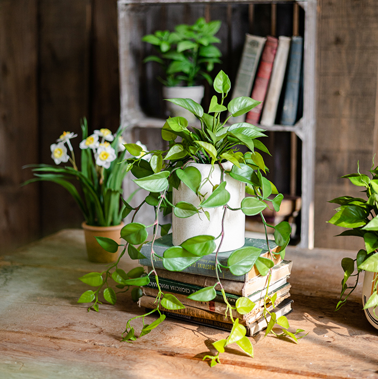 Artificial Devil's Ivy Plant in White Pot