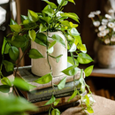 Artificial Devil's Ivy Plant in White Pot by RusticReach