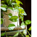 Artificial Devil's Ivy Plant in White Pot by RusticReach