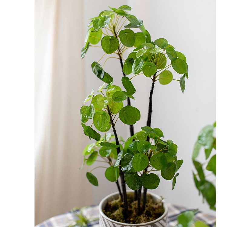 Artificial Potted Pilea Plant 26" Tall